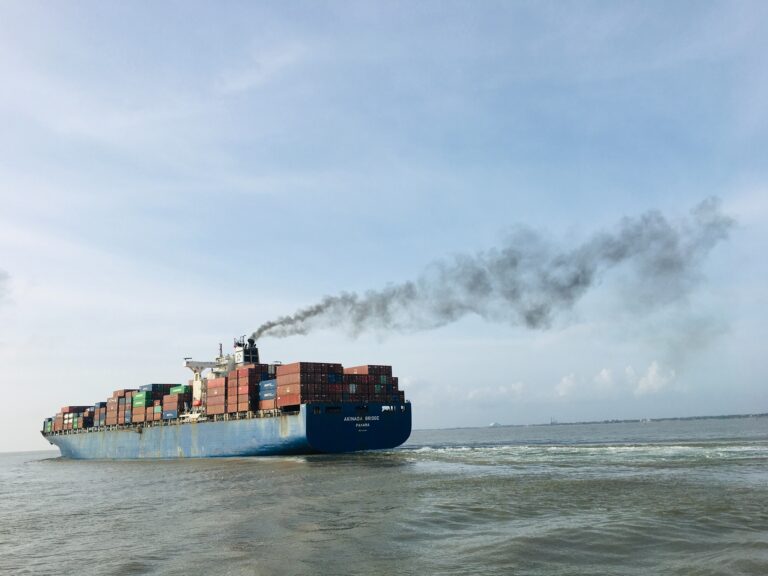 Carbon tax efforts by Djibouti and Gabon spark global shipping debate Carbon tax efforts by Djibouti and Gabon spark global shipping debate