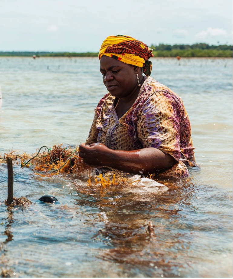 Tanzania secures €15.8M from EU to boost protection of sea, grow coastal economy Tanzania secures €15.8M from EU to boost protection of sea, grow coastal economy