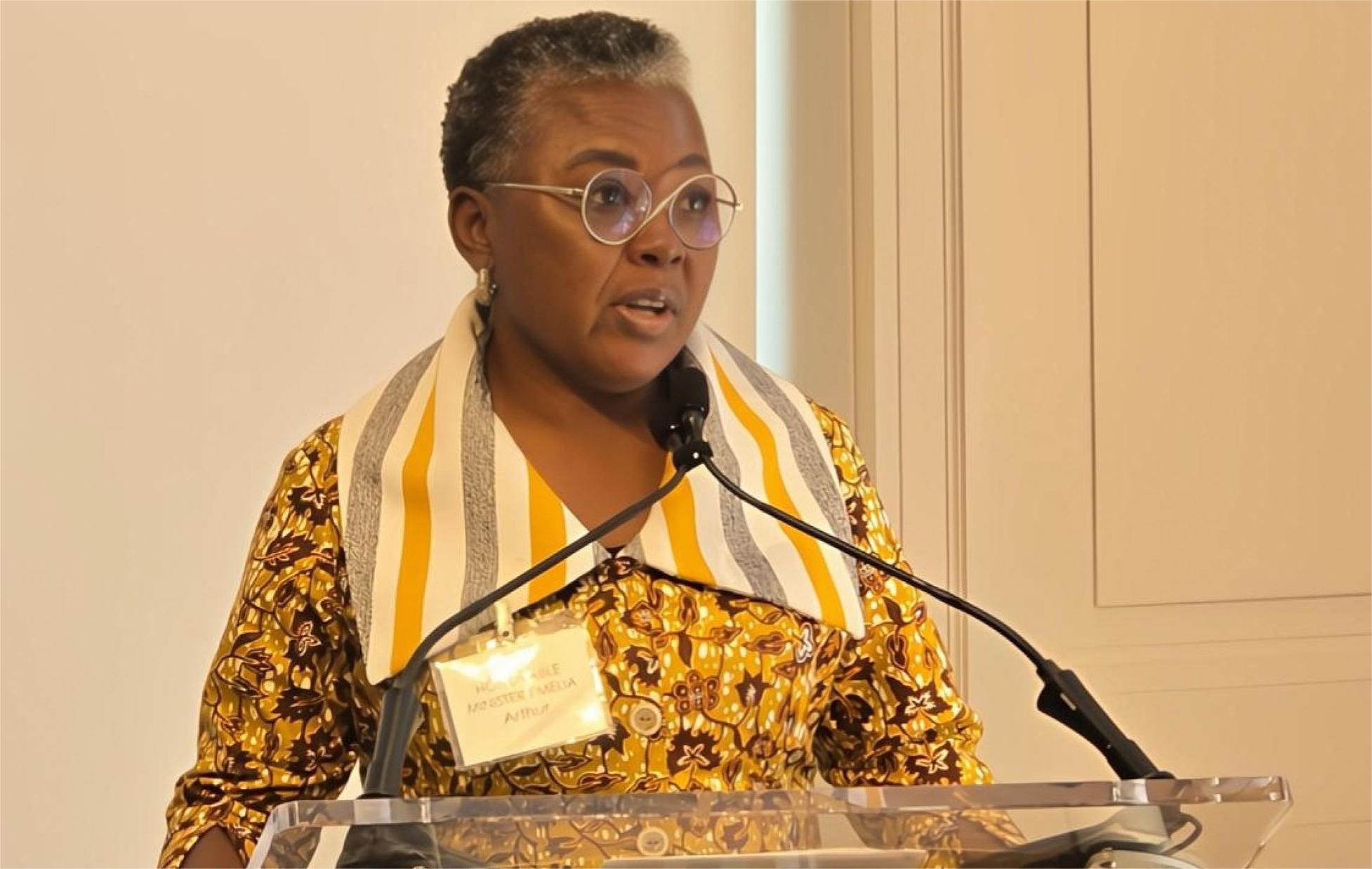 EMELIA Ghana's Minister of Fisheries and Aquaculture, Emelia Arthur, speaking in New York.