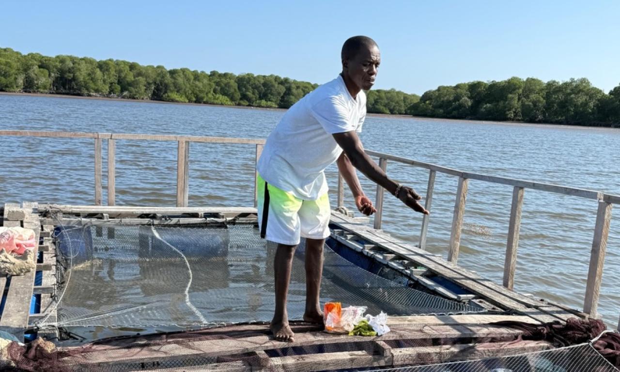 Rising fish feed costs threaten Kenya’s aquaculture growth, study reveals. An opportunity? Rising fish feed costs threaten Kenya’s aquaculture growth, study reveals. An opportunity?