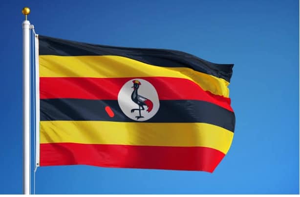 Illegal fish trade costs Uganda $1.4 billion annually Illegal fish trade costs Uganda $1.4 billion annually